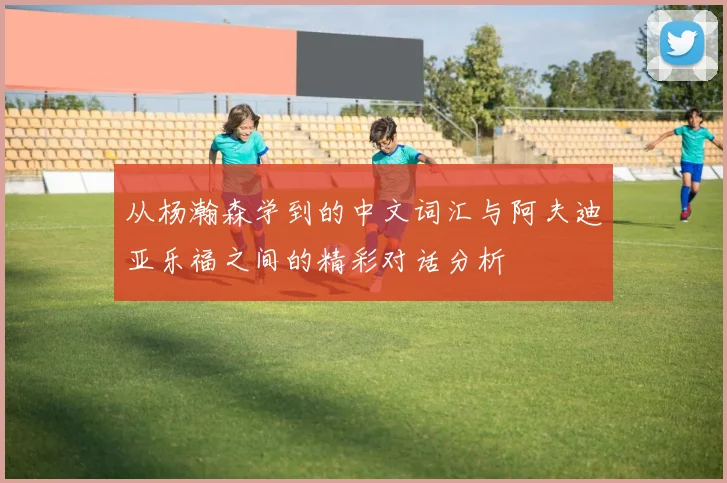 从杨瀚森学到的中文词汇与阿夫迪亚乐福之间的精彩对话分析