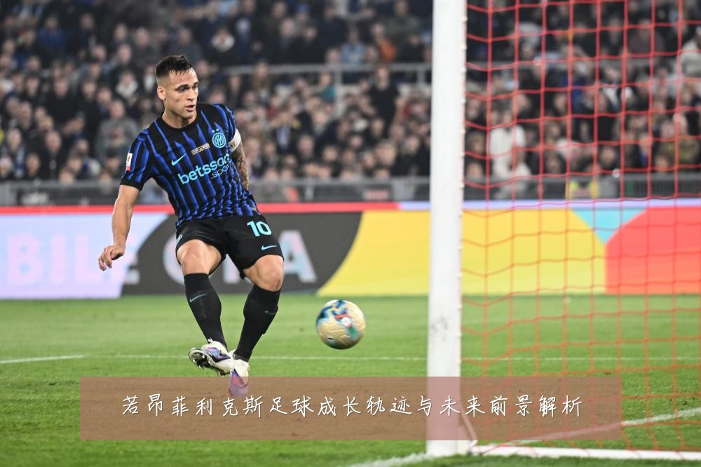 若昂菲利克斯足球成长轨迹与未来前景解析